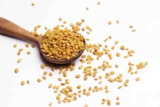 Foenegriek: A Complete Guide to Benefits and Nutrition