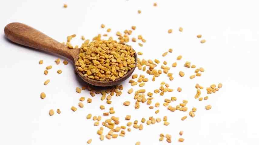 Foenegriek: A Complete Guide to Benefits and Nutrition