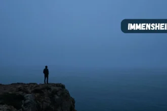 Immensheid: A Word That Sounds Like Real Dutch, Borrows a Real Feeling