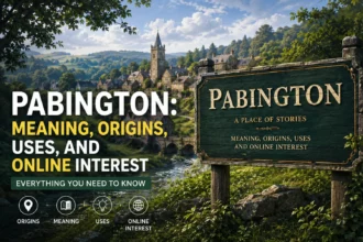 Pabington: Meaning, Origins, Uses, and Online Interest